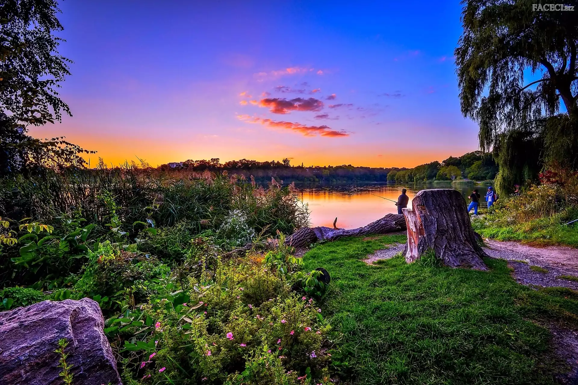 Wędkarze, Jezioro, Przyroda