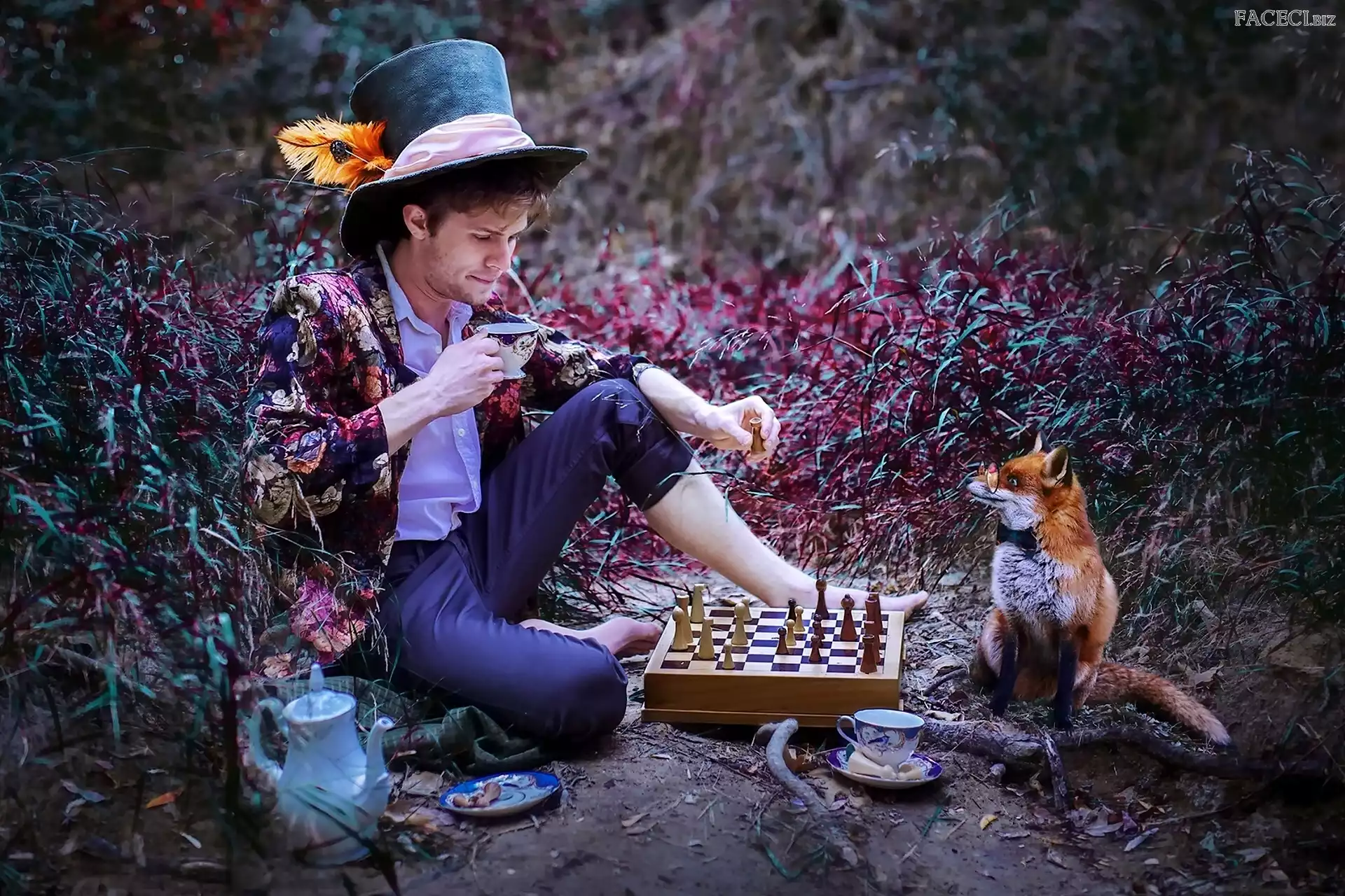 Trawa, Gra, Mężczyzna, Lis, Szachy